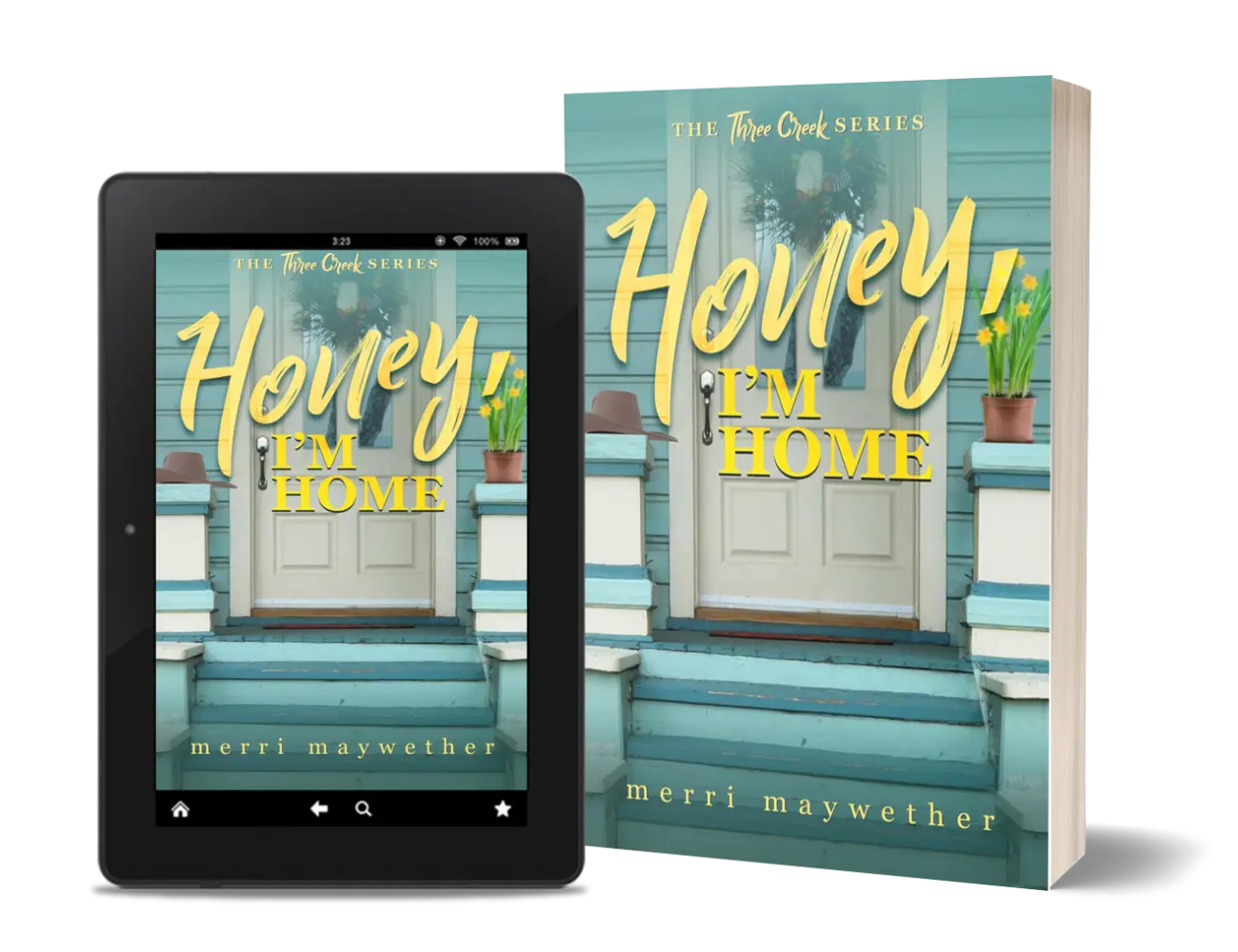 Honey Im Home Merri Maywether 3D