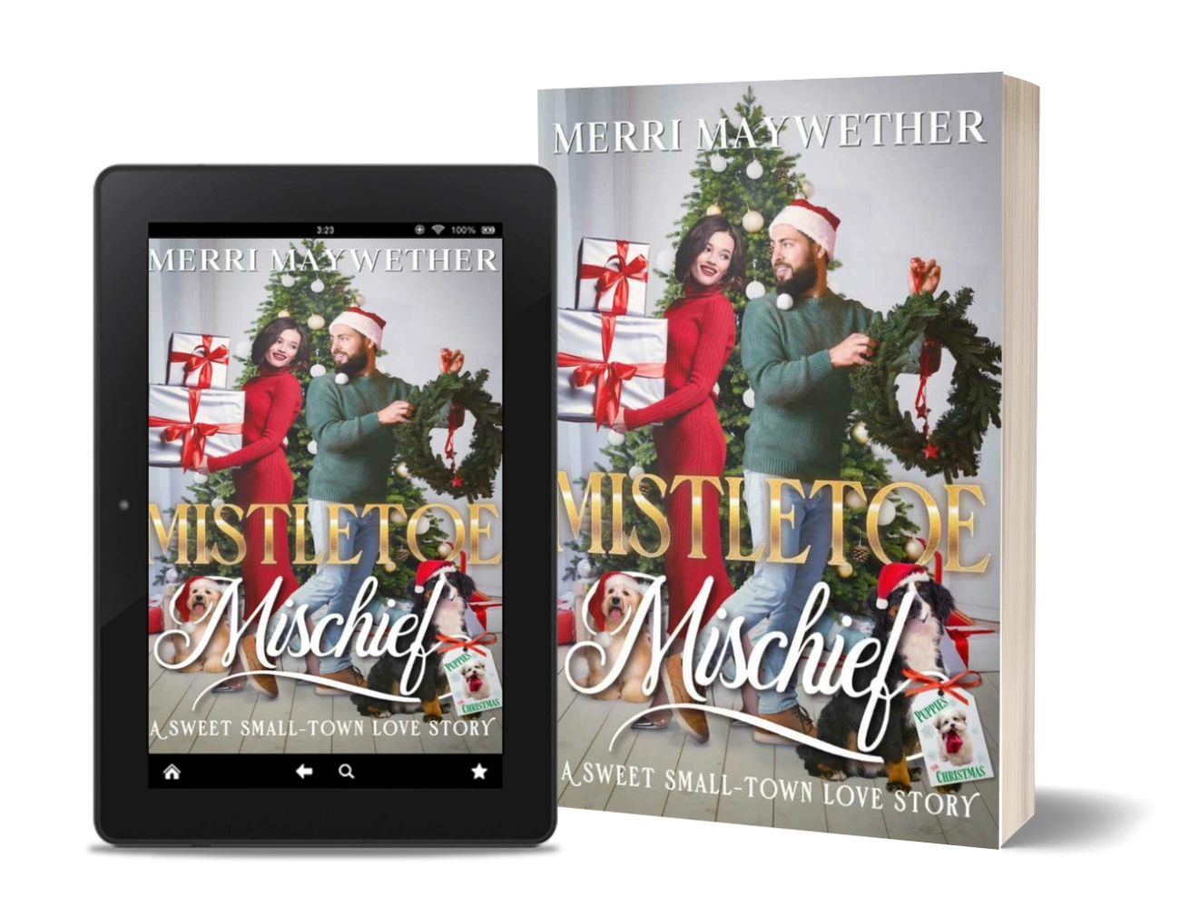 Mistletoe Mischief 3D