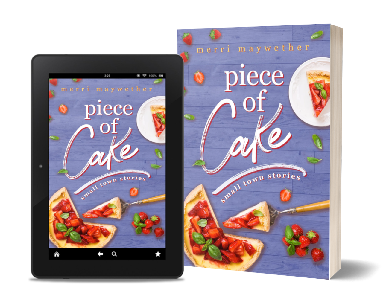 Piece-of-Cake-3D